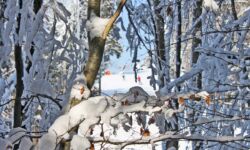 Winter auf dem Breitenberg Oberstdorf - Winterspaziergang im Allgäu Winter auf dem Breitenberg Oberstdorf - Winterspaziergang im Allgäu vorbei an Skipiste und Rodelbahn