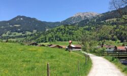 Rubihorn im Sommer - Wandern im schönen Allgäu Rubihorn im Sommer - Wandern im schönen Allgäu von Fischen nach Rubi